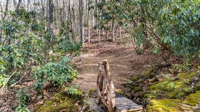 A truly one-of-a-kind mountain sanctuary, this 9.86-acre retreat - photo 73