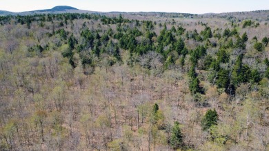 Lake Acreage For Sale in Dedham, Maine
