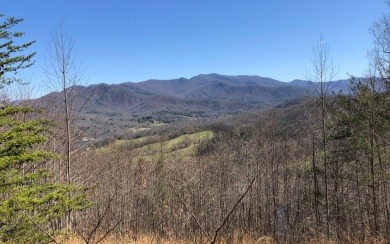 MOUNTAIN & LAKE VIEWS FROM THIS BEAUTIFULLY WOODED LOT IN THE - Lake Lot For Sale in Hayesville, North Carolina