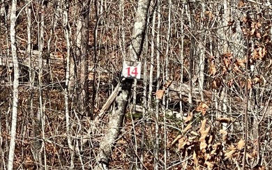BEAUTIFULLY WOODED LOT IN THE NORTH GEORGIA MOUNTAINS!! Located - Lake Lot For Sale in Hiawassee, Georgia