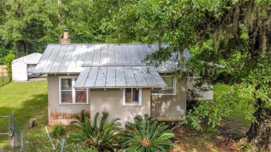 Lake Home For Sale in Wewahitchka, Florida