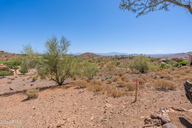 Beautiful gentle sloping lot, just shy of an acre at the back - photo 12