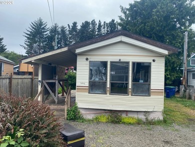 Tiny on it's own land home with 2 outbuildings and covered area - photo 2