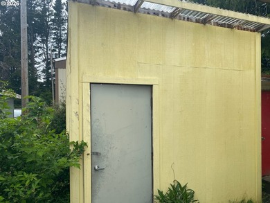 Tiny on it's own land home with 2 outbuildings and covered area - photo 4