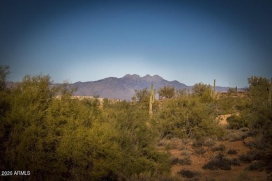 Beautiful gentle sloping lot, just shy of an acre at the back - photo 15