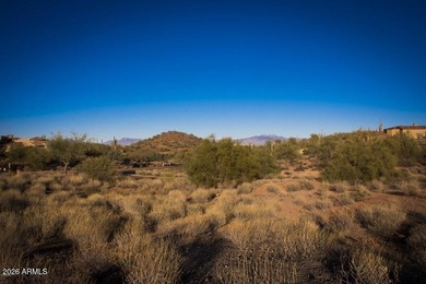 Beautiful gentle sloping lot, just shy of an acre at the back - photo 16