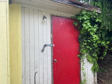 Tiny on it's own land home with 2 outbuildings and covered area - photo 6