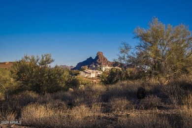 Beautiful gentle sloping lot, just shy of an acre at the back - photo 17