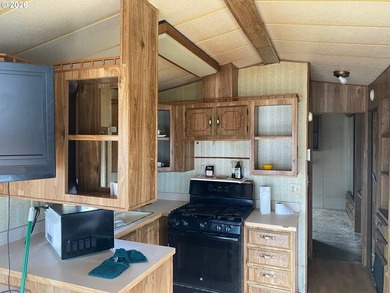 Tiny on it's own land home with 2 outbuildings and covered area - photo 8
