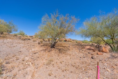 Beautiful gentle sloping lot, just shy of an acre at the back - photo 19