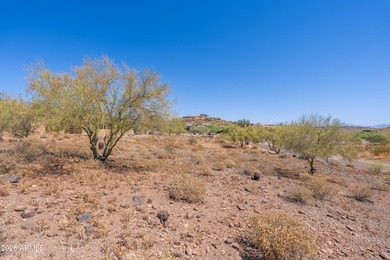 Beautiful gentle sloping lot, just shy of an acre at the back - photo 20