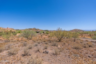 Beautiful gentle sloping lot, just shy of an acre at the back - photo 21
