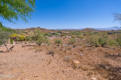 Beautiful gentle sloping lot, just shy of an acre at the back - photo 22