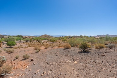 Beautiful gentle sloping lot, just shy of an acre at the back - photo 23