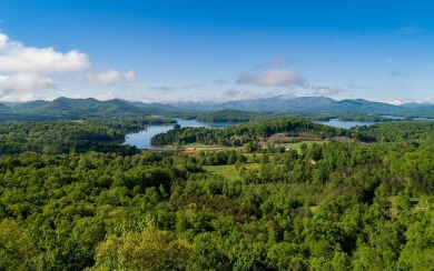 Lake Chatuge Acreage For Sale in Hayesville North Carolina