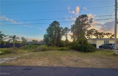 Lehigh Acres Area Lot For Sale in Lehigh Acres Florida