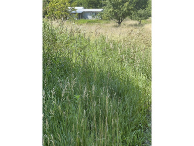 (private lake, pond, creek) Home Sale Pending in Indianola Iowa