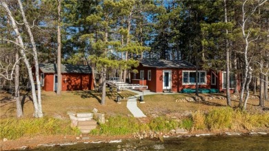 Gilmore Lake Home For Sale in Park Rapids Minnesota