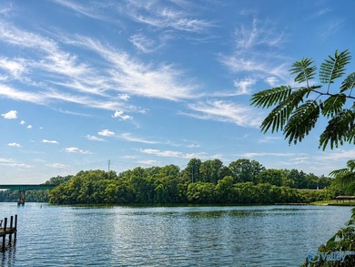 Build your dream home on these 2 waterfront tracts totaling 2 - photo 1