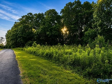 Build your dream home on these 2 waterfront tracts totaling 2 - photo 2