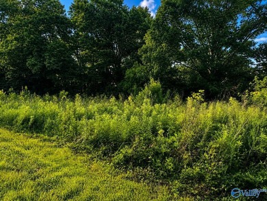 Build your dream home on these 2 waterfront tracts totaling 2 - photo 3