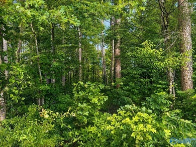 Build your dream home on these 2 waterfront tracts totaling 2 - photo 4