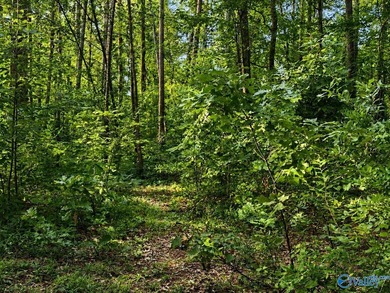 Build your dream home on these 2 waterfront tracts totaling 2 - photo 5
