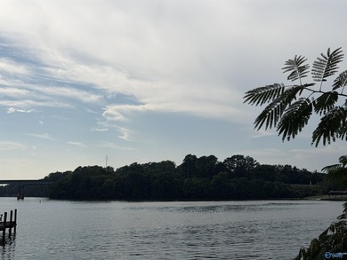 Build your dream home on these 2 waterfront tracts totaling 2 - photo 7