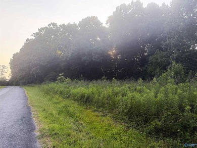 Build your dream home on these 2 waterfront tracts totaling 2 - photo 8