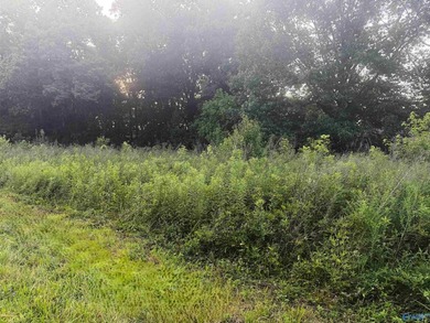 Build your dream home on these 2 waterfront tracts totaling 2 - photo 9