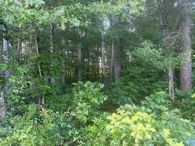 Build your dream home on these 2 waterfront tracts totaling 2 - photo 10