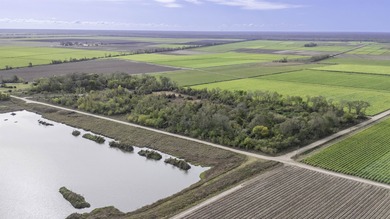 Lake Verret Acreage For Sale in Napoleonville Louisiana