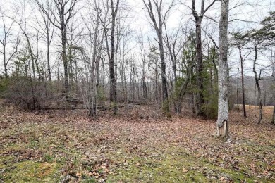 Piney River Lot For Sale in Spring City Tennessee