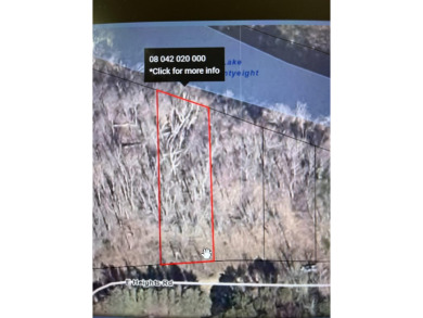 Lake Lot For Sale in Remus, Michigan