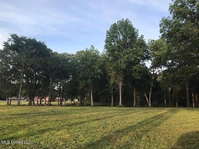 (private lake, pond, coastal) Acreage For Sale in Hernando Mississippi