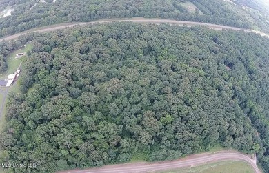 Prime 36-Acre Wooded Property with Development Potential - - photo 5