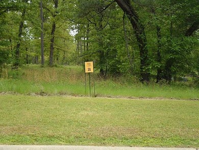 Mineral Rights Reserved. Beautiful West Shreveport Lot - photo 1