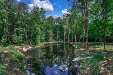 This is a one of a kind property situated in the Elk River Club - photo 13