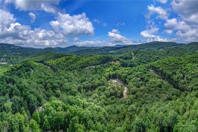 This is a one of a kind property situated in the Elk River Club - photo 22
