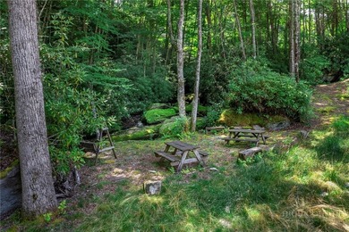 This is a one of a kind property situated in the Elk River Club - photo 24