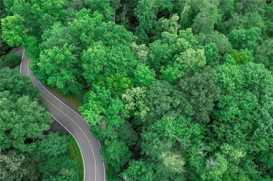 This is a one of a kind property situated in the Elk River Club - photo 33