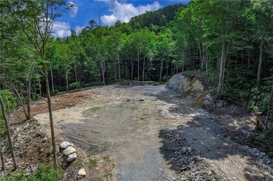 This is a one of a kind property situated in the Elk River Club - photo 34