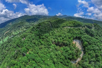 This is a one of a kind property situated in the Elk River Club - photo 37