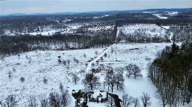 1091 Albany Post Road offers a rare opportunity to own a newly - photo 47