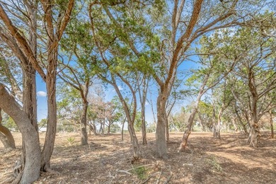 Build your Hill Country dream home on Tract 18 in the desirable - photo 7