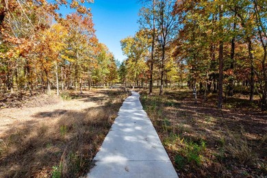 Stunning new construction steps from Chenal's Bear Den Golf - photo 49