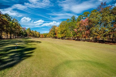 Stunning new construction steps from Chenal's Bear Den Golf - photo 50
