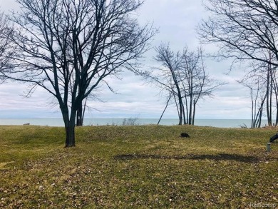 Lake Erie Lot For Sale in Newport Michigan