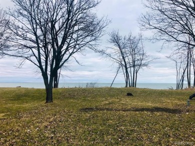 Lake Lot Off Market in Newport, Michigan