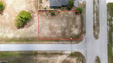 One of the most affordable corner lots Cape Coral has to offer! - photo 3